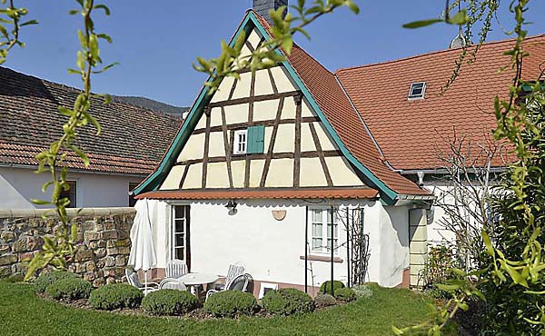 Blick vom Garten auf Terrasse und Haus - Ferienwohnung Hof Albert, Weindorf Hambach, Neustadt / Weinstr. (Pfalz)