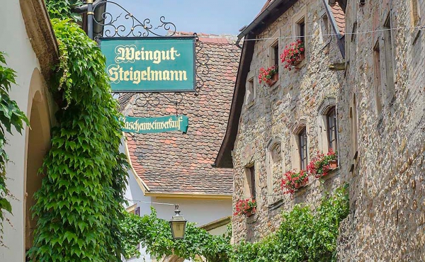 Das Gästehaus Meerspinne ist nur wenige Schritte vom Weingut entfernt - Weingut Thomas Steigelmann, Gimmeldingen (Pfalz), Neustadt / Weinstr.